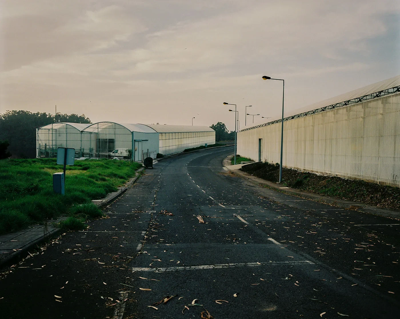 Uma estrada asfaltada vazia passa entre estufas e um muro alto de betão.