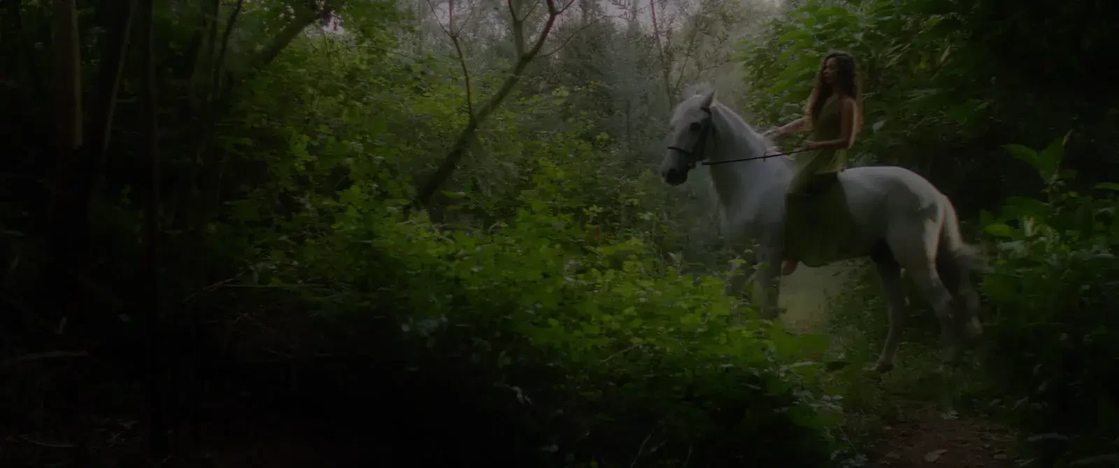Uma pessoa montada num cavalo branco numa zona arborizada.