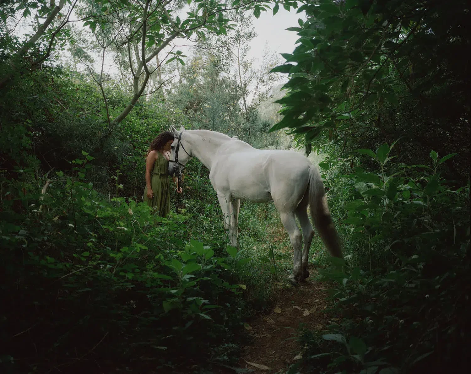A person stands beside a white horse amid dense green vegetation.
